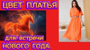 Огненная лошадь.Цвет платья красный и его оттенки.Новогодняя ночь.