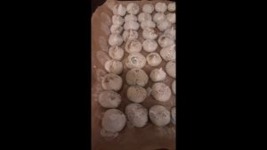 готовим безешный торт Графские  развалины