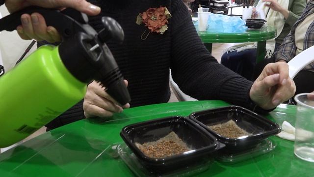 В Пушкино прошёл мастер-класс по выращиванию микрозелени смотреть онлайн