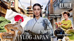 VLOG | Япония 2 часть 🇯🇵| Чайная церемония, танец Майко, парк Нара, тысячи ворот, бамбуковый лес
