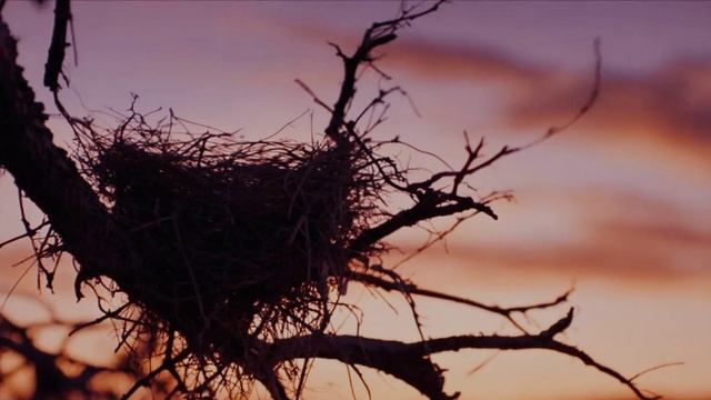 ДВА БЕРЕГА (слова Евы Даль)