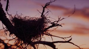 ДВА БЕРЕГА (слова Евы Даль)