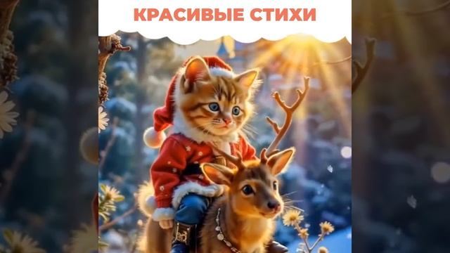 Заходи к нам. смотреть онлайн