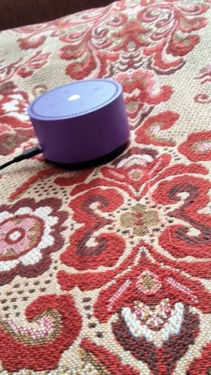 Влад аллигатор играем вместе с Алисой в слова Я не могу отгадать слово