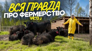 Мои главные ошибки при строительстве фермы! Жалею, что не знал об этом раньше / Фермерство с нуля