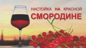 052_Настойка на красной смородине