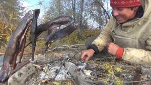 Чукотка 2025. Часть 11.  Малый Анюй. От моста до леса.