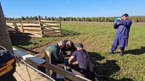 Ep.319 The Vet Visits (Russian Subtitles)