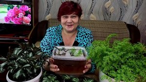 Самый ЛЁГКИЙ СПОСОБ УКОРЕНИТЬ любой ЧЕРЕНОК!!!