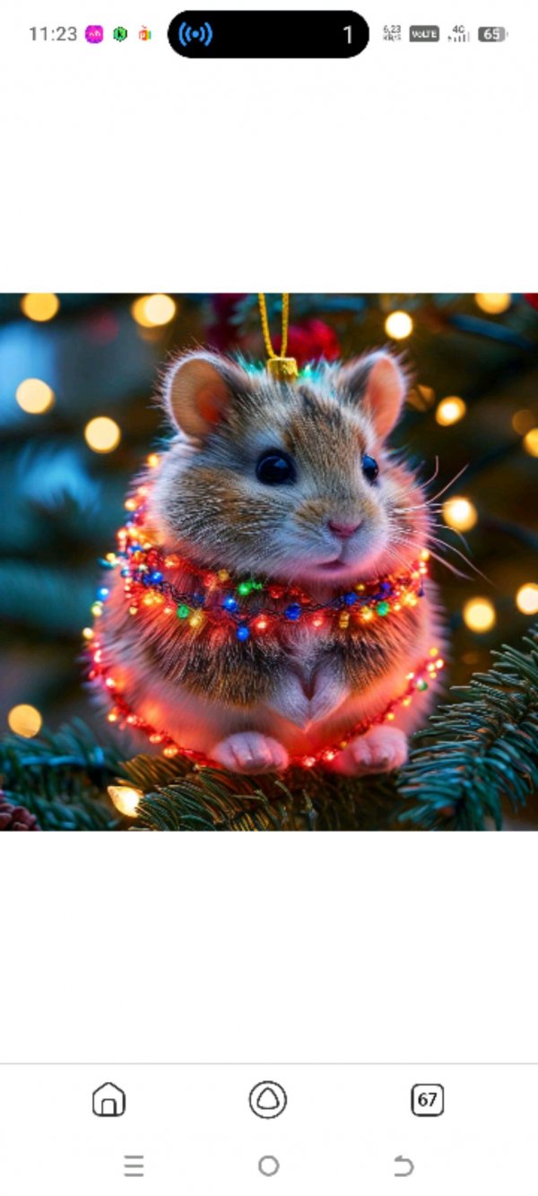 Майнкрафт 1.21.11 Forge