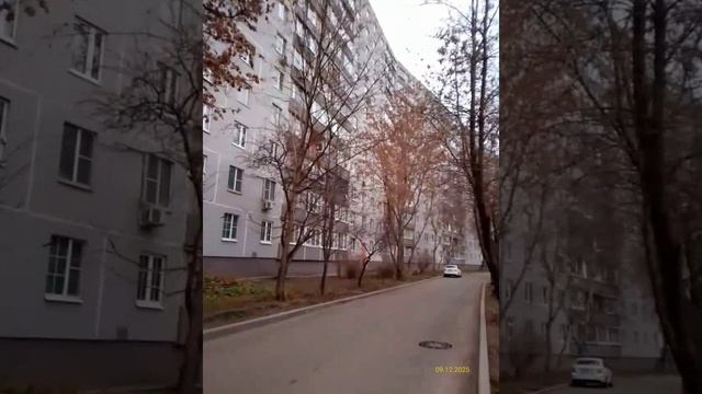 Moscow, Otradnoye district 09.12.2025