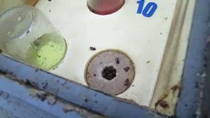 работа с пчелами в конце декабря , 20.12.2025