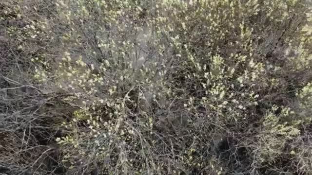 ОМУТ смотреть онлайн