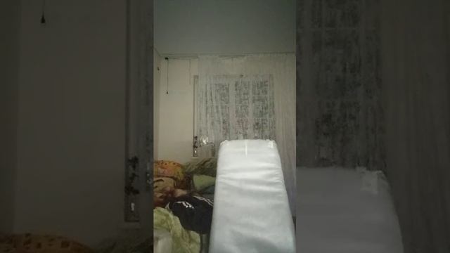 новая трансляция смотреть онлайн