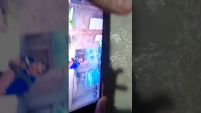 соревы смотреть онлайн