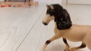 спасибо за 11 подписчиков !!!!!! 😀😺