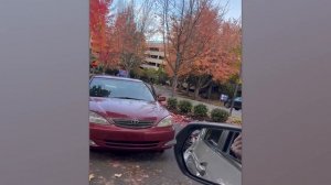 75 Случаев, Когда Копы Появились в Идеальный Момент