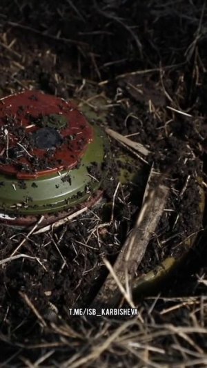 Когда сапёр уже обнаружил наличие минирования. Батальон им.Карбышева.