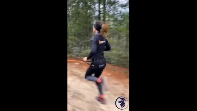 Что такое Каникросс? Тренер Игорь Алтайский