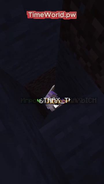 МОИ ТИМЕЙТЫ СНОВА ПОДРАЛИСЬ! ЯМА! #minecraft смотреть онлайн