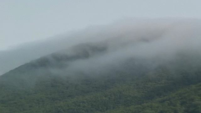 Туман в бухте Теляковского над островом Шапка Наполеона