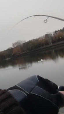 Рыбалка зимой спиннинг смотреть онлайн