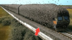 Самые Невероятные Моменты Запечатленные На Камеру