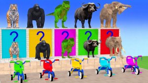 Веселые игры с слоном, гориллой, бегемотом, тигром - 3D игра с животными - Забавные 3D животные