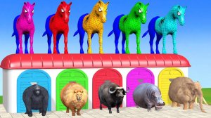 Веселые игры с слоном, гориллой, бегемотом, тигром - 3D игра с животными - Забавные 3D животные