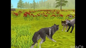 Мини фильм Wildcraft "Дух" 8 серия (финал 1 сезона)