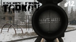 НОВИЧКИ ОСОЗНАЛИ КАК ИГРАТЬ В ТАРКОВ.