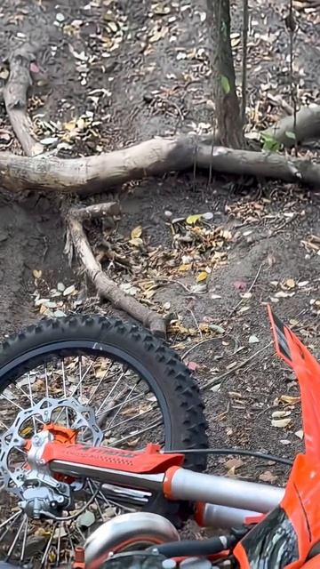 FXmoto Freeride - КТО ТЫ ВОИН?! #беримото #эндуро #enduro #freeride #fxmoto смотреть онлайн