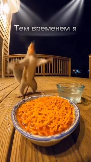 Острая правда о привычных страданиях.