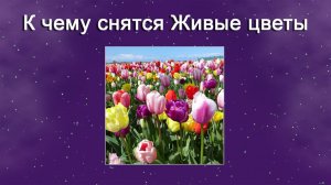 К чему снятся Живые цветы (Сонник)