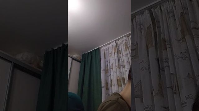 Стрим 24 смотреть онлайн