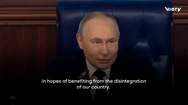 Подсвинки. смотреть онлайн