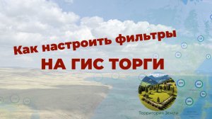 Как настроить фильтры на ГИС ТОРГИ и найти нужный лот.