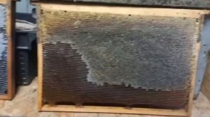 Пеноулик как Бороться с Влажностью!!!