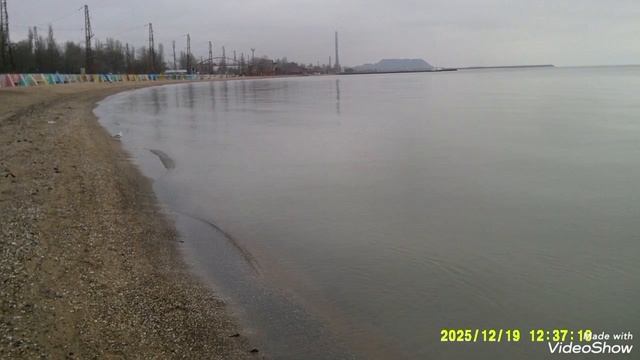 Мариуполь 🌇 сегодня,пр.Нахимова, Слабодка, Азовское море, утки,чайки. смотреть онлайн