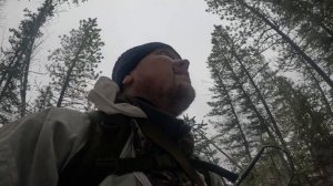 Неудачная Охота с Лайками 🐕🦺