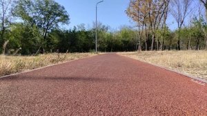 Пение птиц в городском парке для отдыха. Звуки природы.