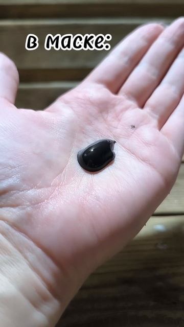 Маска-детокс с активированным углём в составе 🔥🔥🔥Это чистая, ухоженная кожа после применения 👍