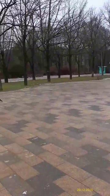 Парк 50-летия Октября 20.12.2025