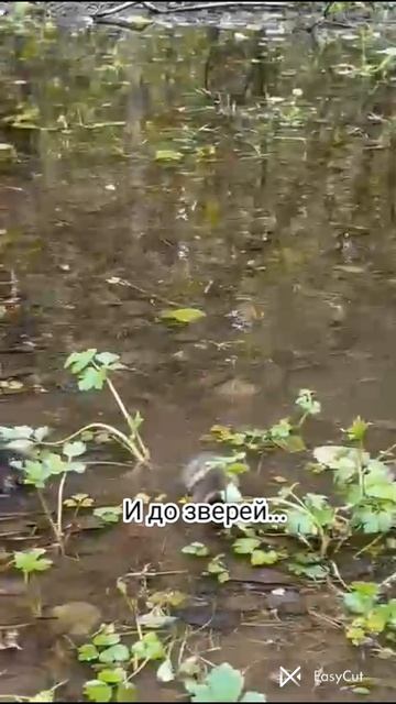 небольшой клип смотреть онлайн