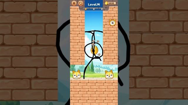 собака в опасности пчёл 🐝 Markus_2