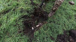 КОП МЕТАЛЛА 20 12 2025