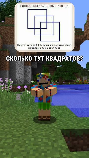 Сколько тут квадратов? #minecraft #майнкрафт