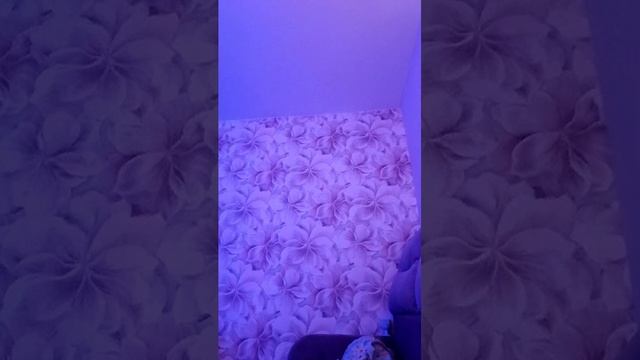 20-12-2025 смотреть онлайн