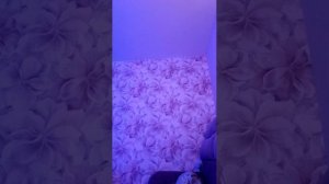 20-12-2025