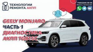 Ремонт АКПП TG81SC Джили Монжаро часть 1